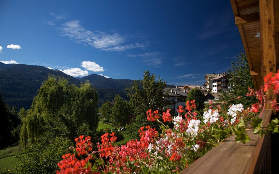 Albergo Bellaria - Carano - Tel: 0462341051 - contatta e prenota - Val di Fiemme Trentino